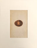 Professionally Mounted Original Antique (c1875) Chromolithograph - Egg of Egyptian Vulture