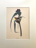 Professionally Mounted Vintage Audubon Chromolithograph - Pine Warbler