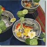 Cressida Campbell Card Pack - Objects and Plants