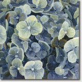 Cressida Campbell Card Pack - Petals and Leaves